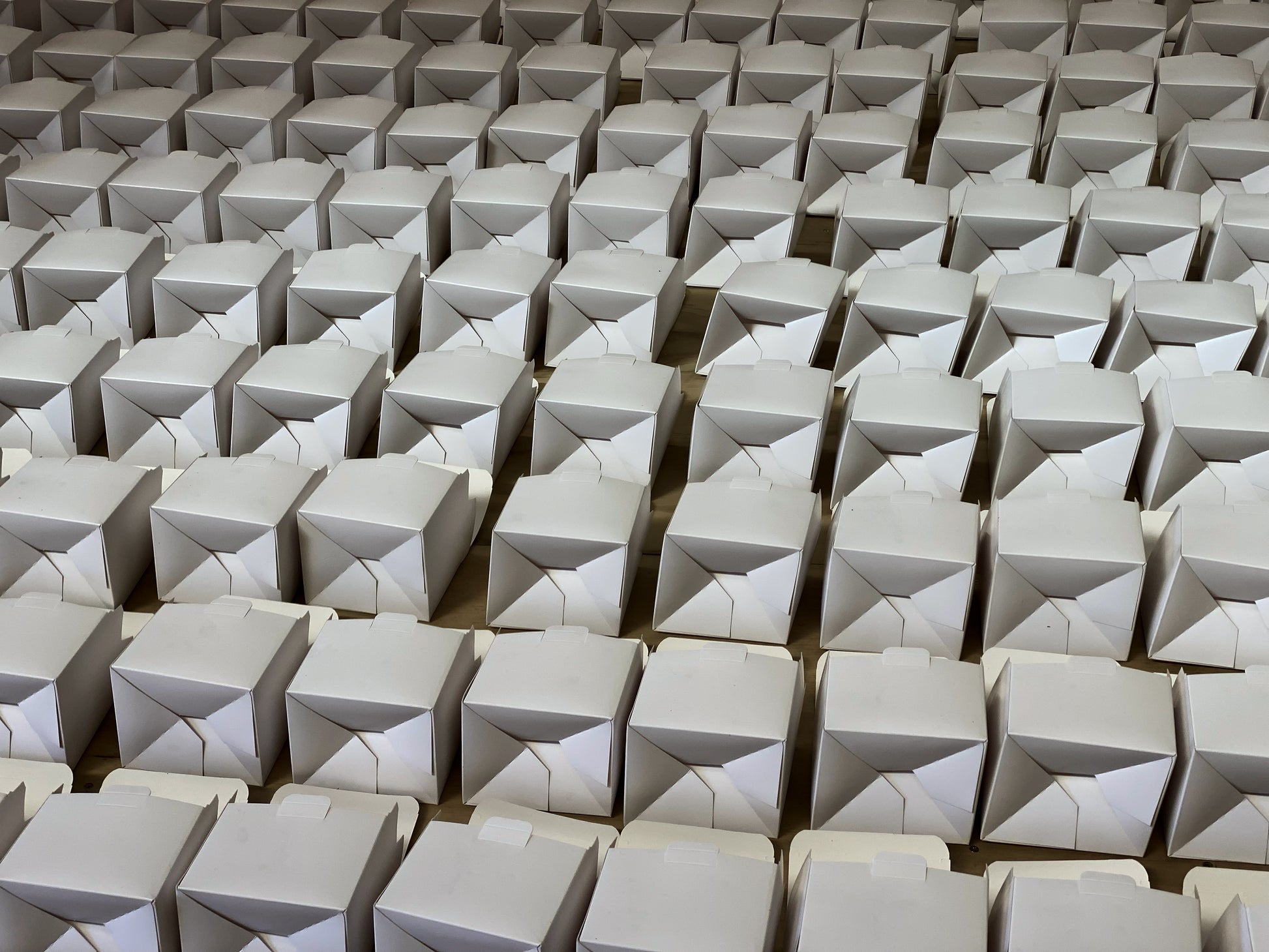 600g Wayfarer Paperboard Punnet | rPET Punnet Replacement