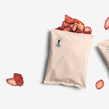 PLASTIC WRAP REPLACEMENT - Wayfarer Paper