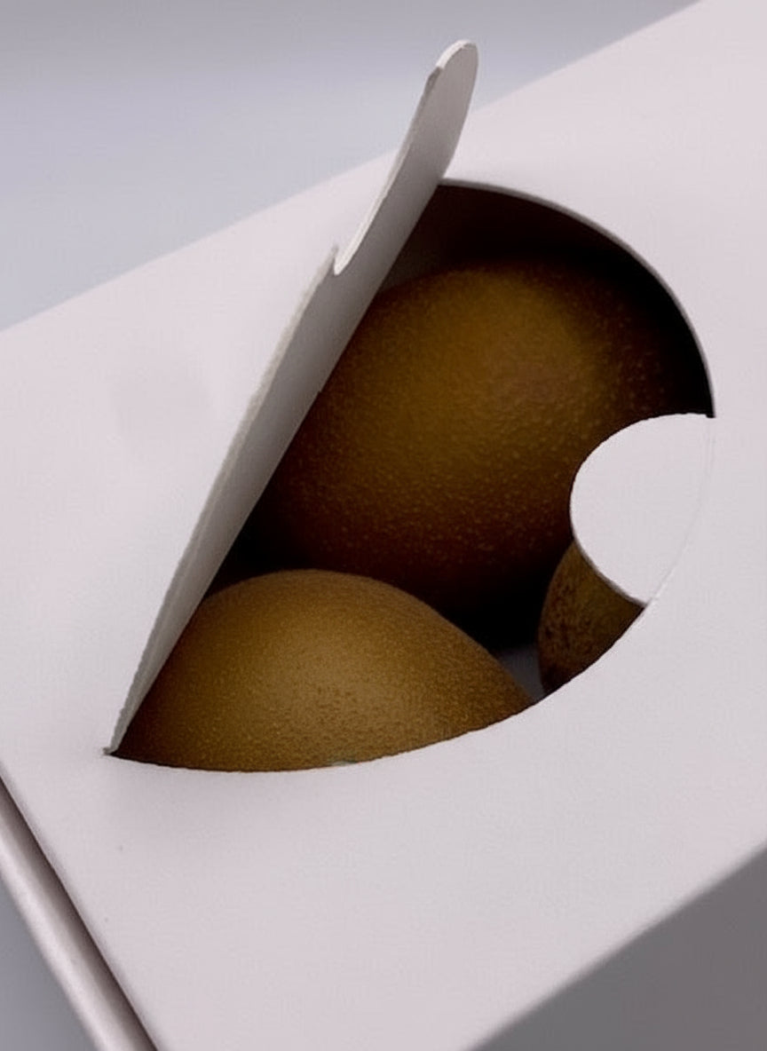 600g Wayfarer Paperboard Punnet | rPET Punnet Replacement | NZ MADE