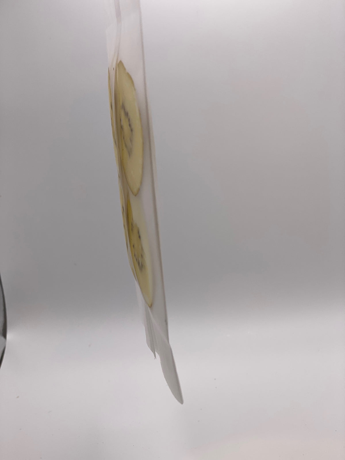 HEAT SEALABLE PAPER | Soft Plastic Replacement | NZ MADE