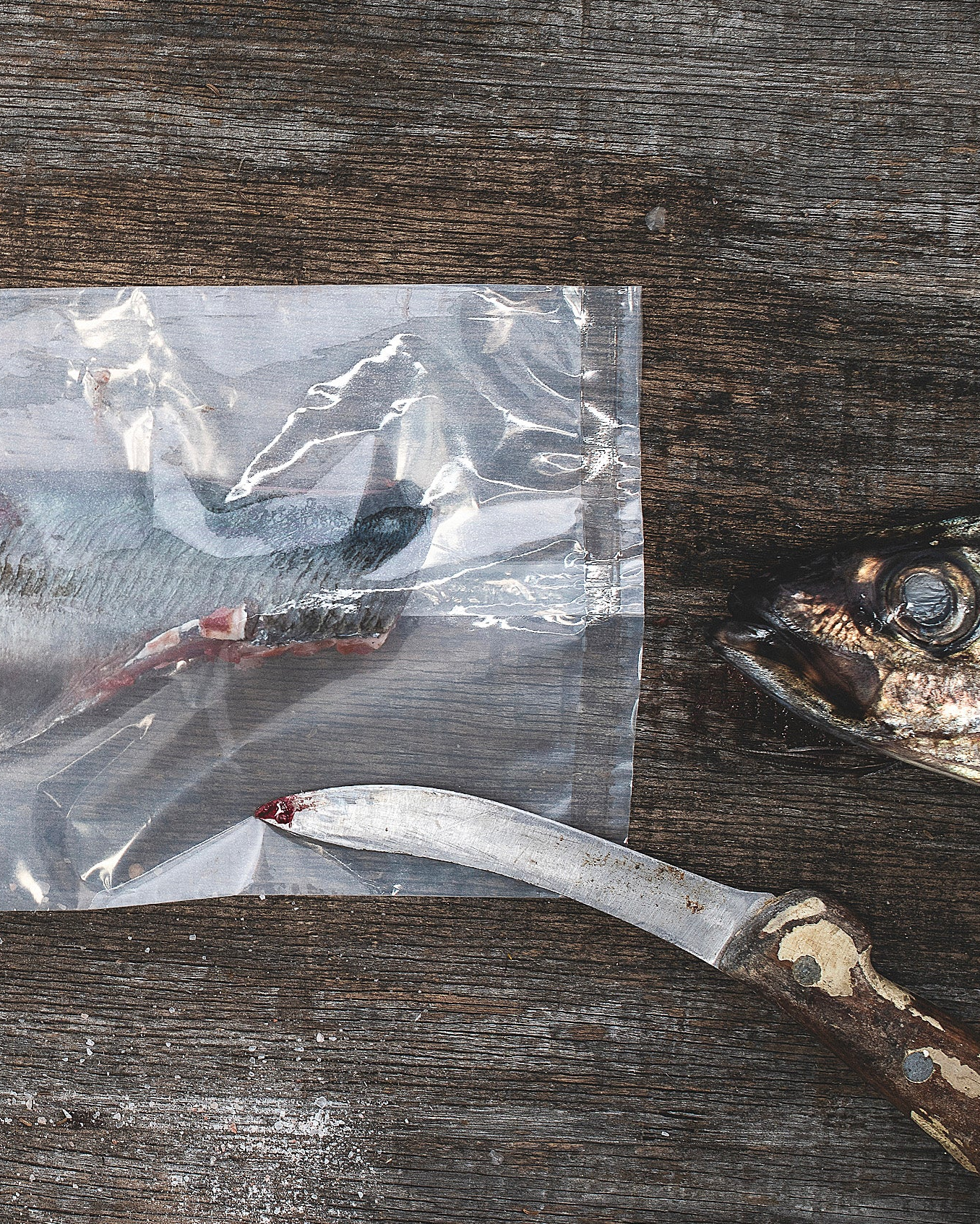 SAMPLE PACK | VACUUM + HEAT SEAL BAGS | Certified AS5810 Home Compostable
