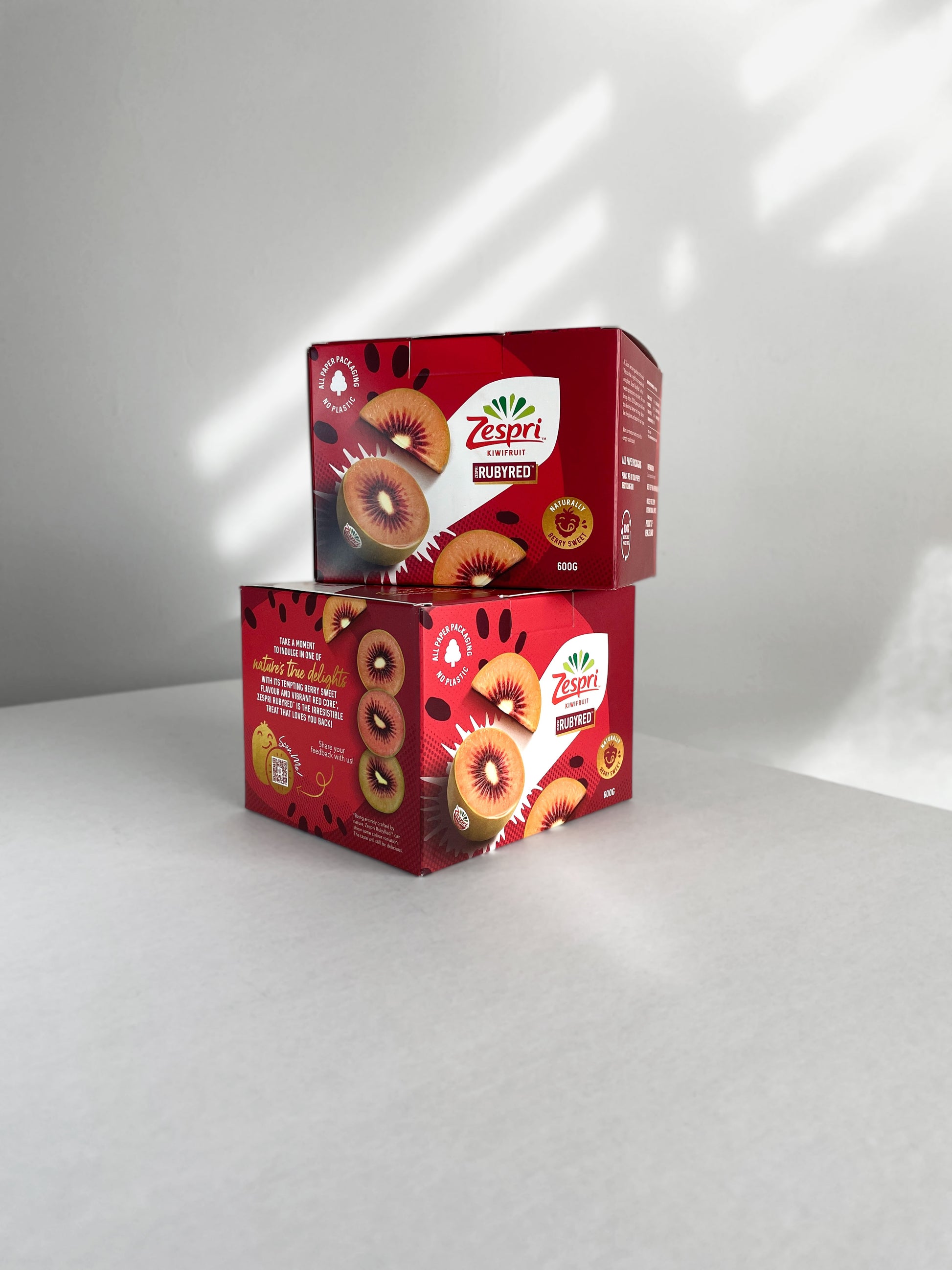 600g Wayfarer Paperboard Punnet | rPET Punnet Replacement