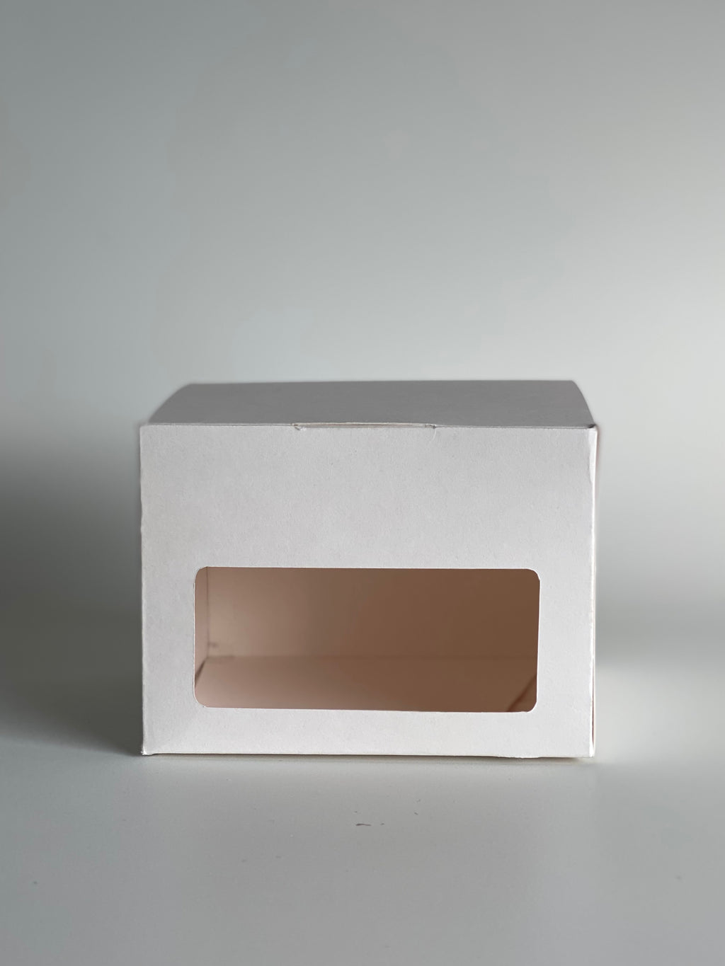 600g Wayfarer Paperboard Punnet | rPET Punnet Replacement | NZ MADE