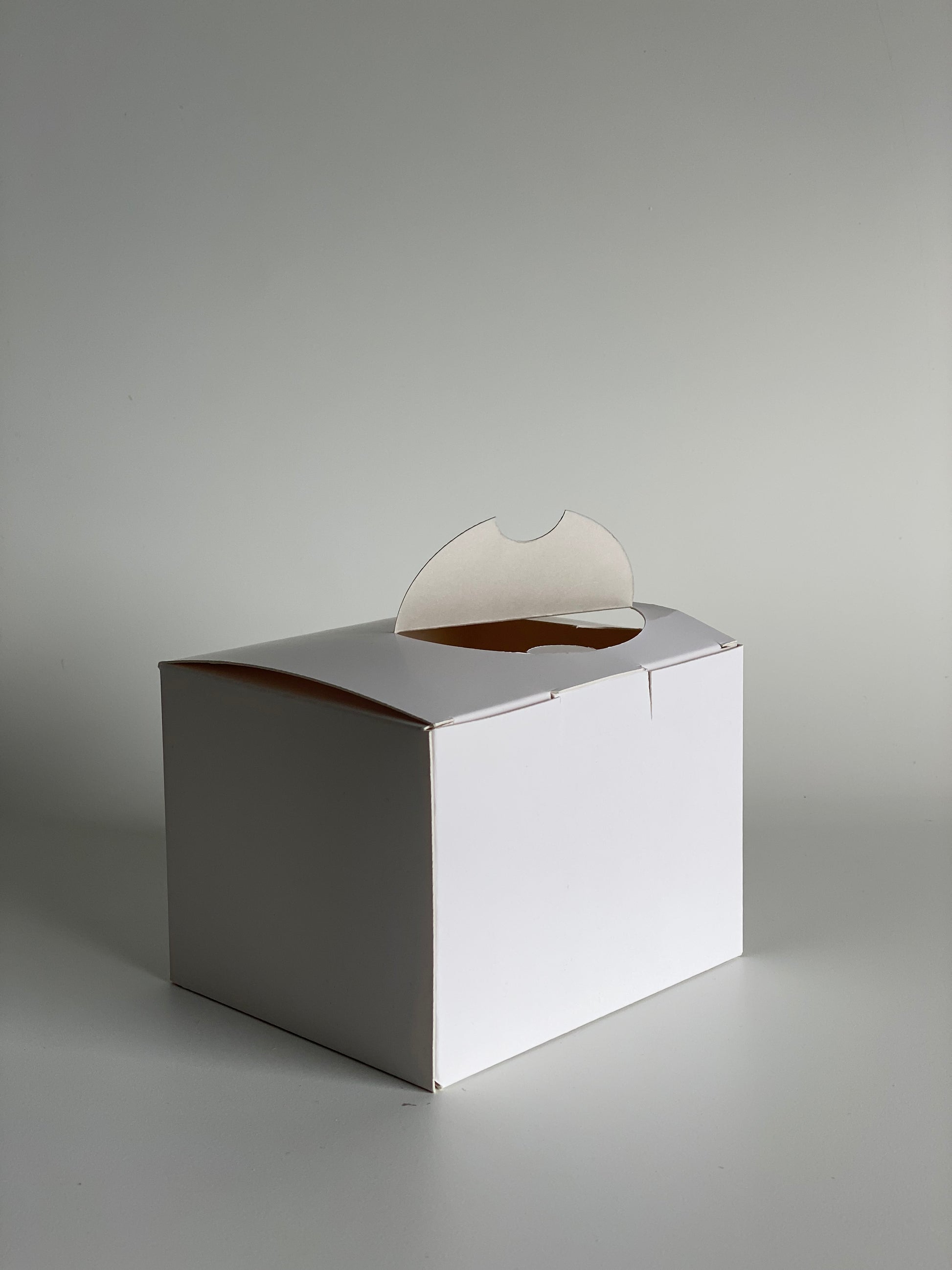 600g Wayfarer Paperboard Punnet | rPET Punnet Replacement