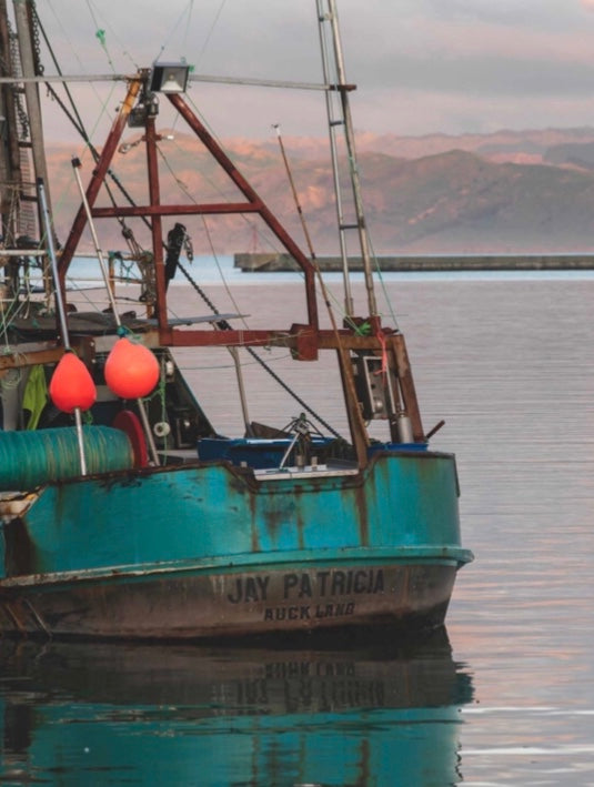 Misty Lady Certified AS5810 Home Compostable Vacuum Seal Bags