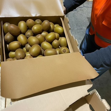 LINERLESS TRANSPORT BOX | Wayfarer Bulk Harvest