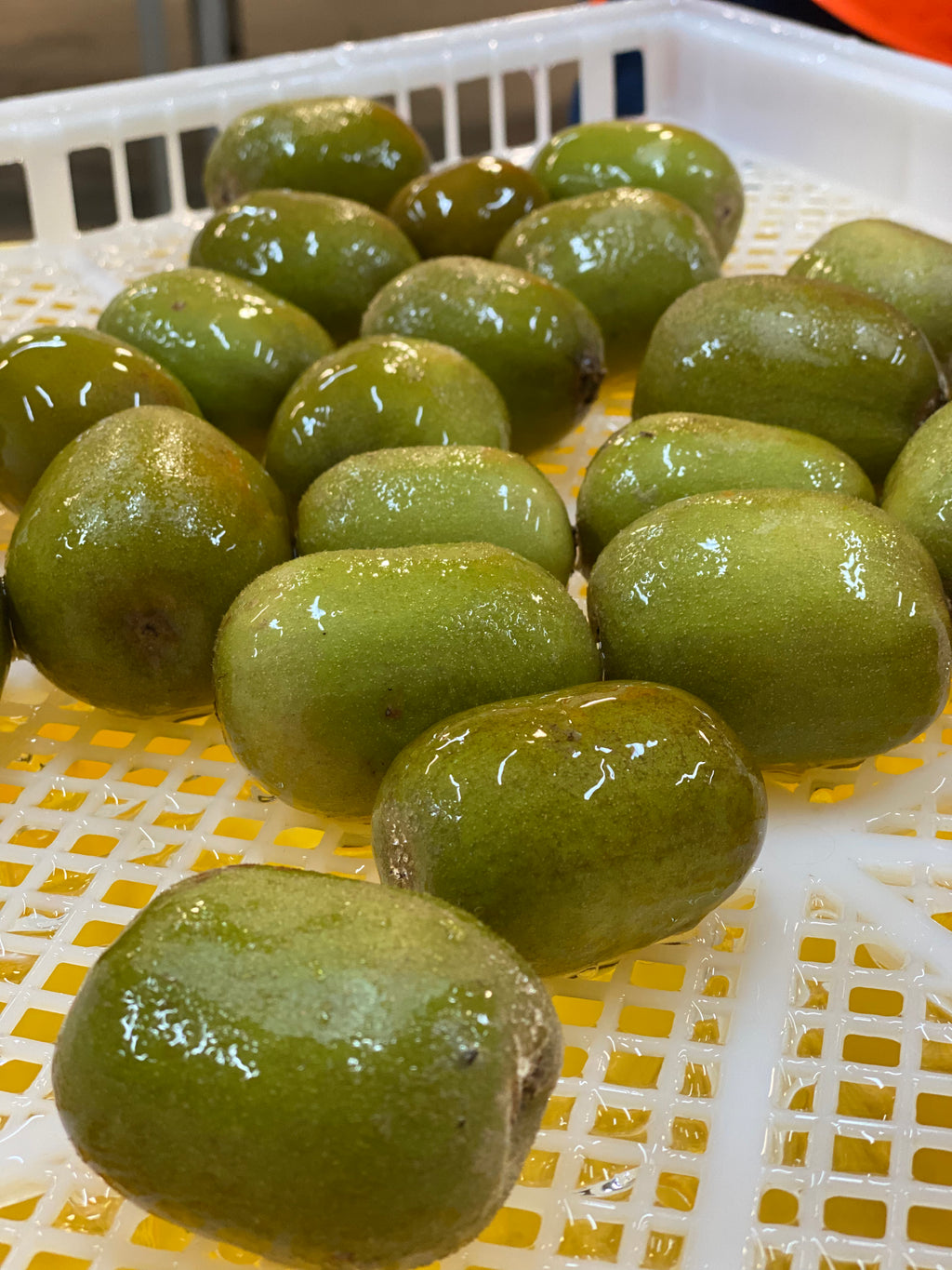 EDIBLE COATINGS FOR FRESH PRODUCE