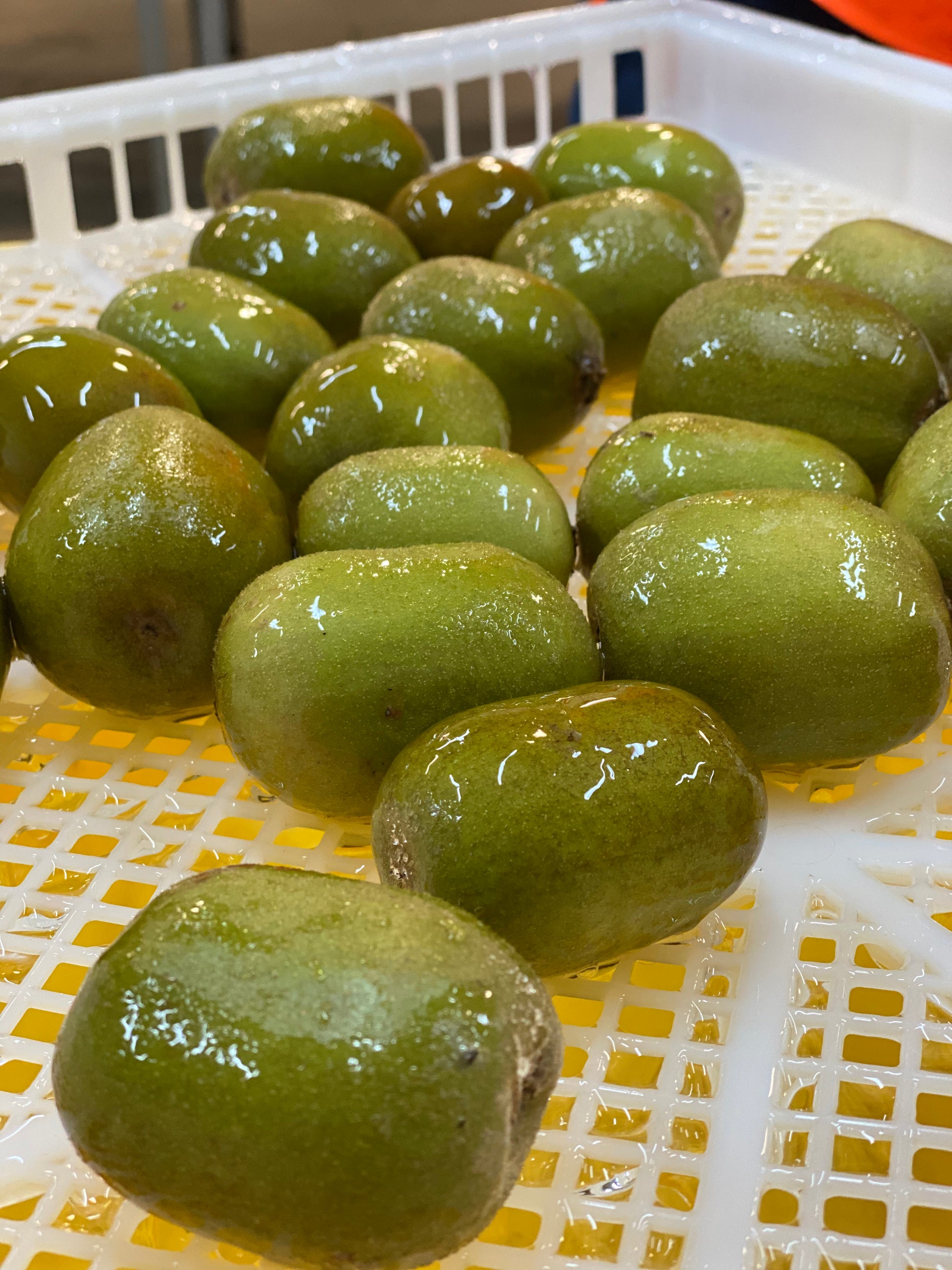 EDIBLE COATINGS FOR FRESH PRODUCE