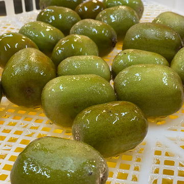 EDIBLE COATINGS FOR FRESH PRODUCE