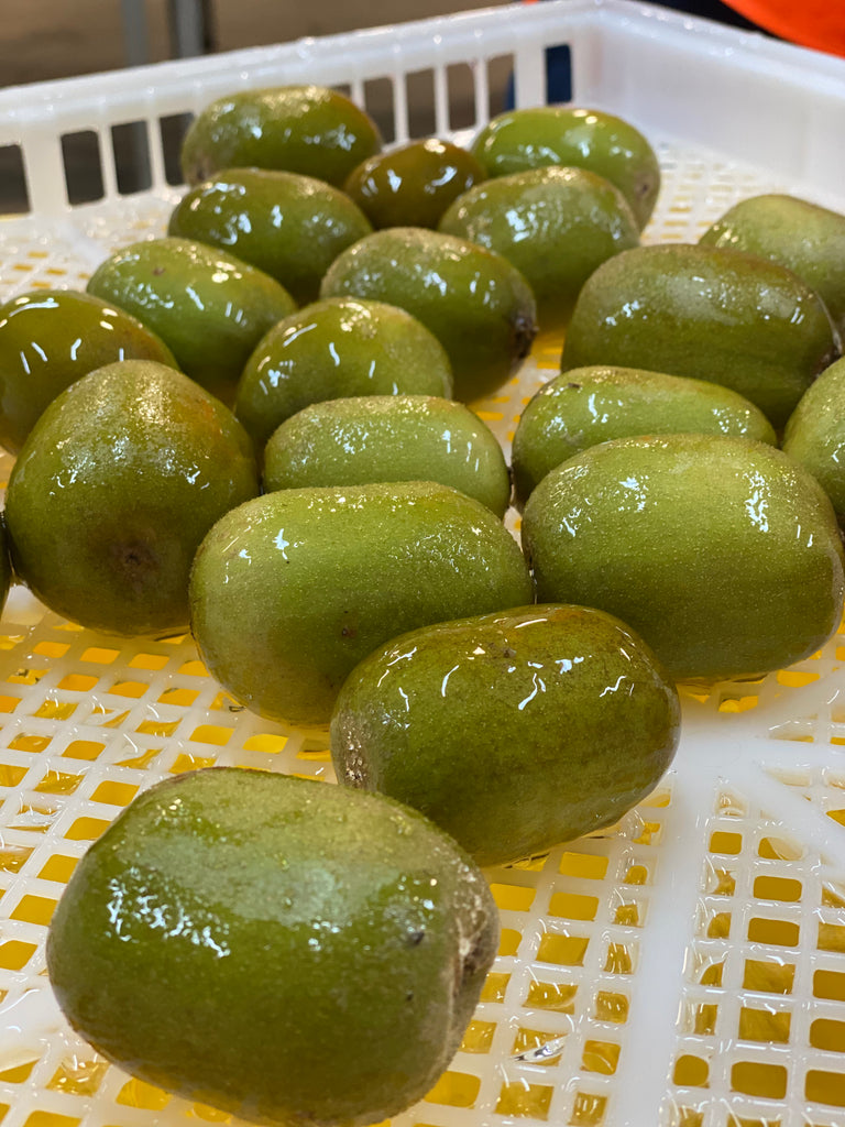 EDIBLE COATINGS FOR FRESH PRODUCE