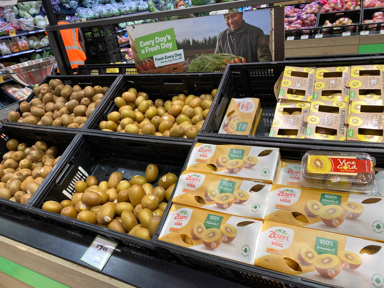 PET PUNNET REPLACEMENT | Wayfarer Harvest Pack | NZ MADE