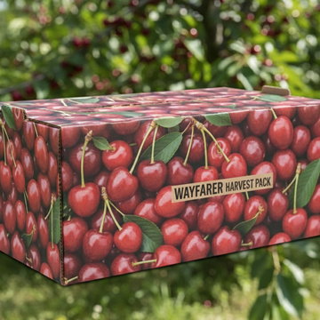 Linerless Cherry Box | Plastic Replacement | MADE IN NZ |