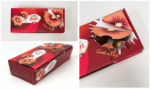 600g Wayfarer Paperboard Punnet | rPET Punnet Replacement