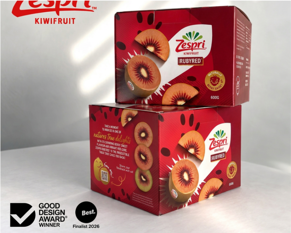 600g Wayfarer Paperboard Punnet | rPET Punnet Replacement | NZ MADE